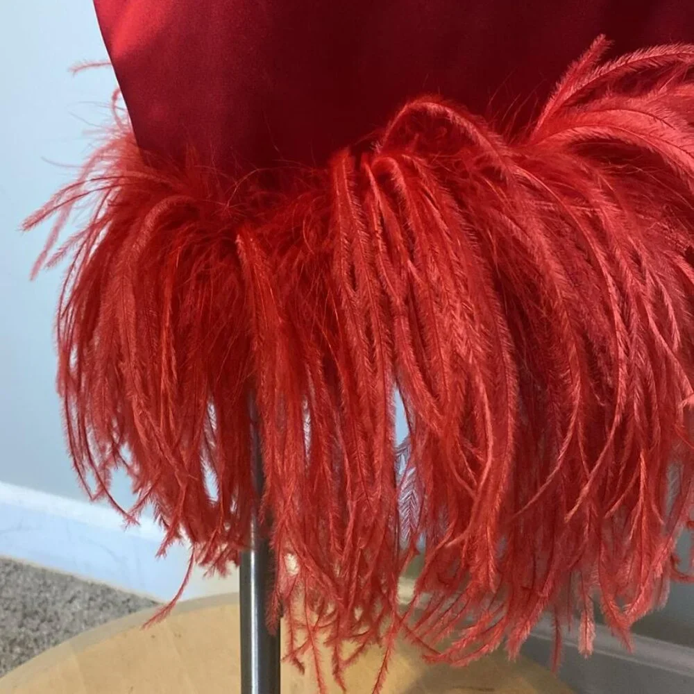 16Arlington strapless dress with feather trim - Picture 4 of 12